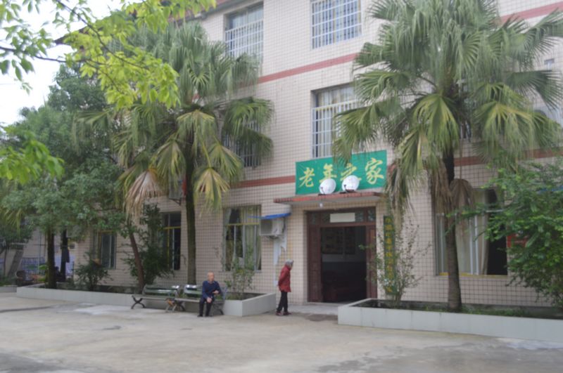 環境展示